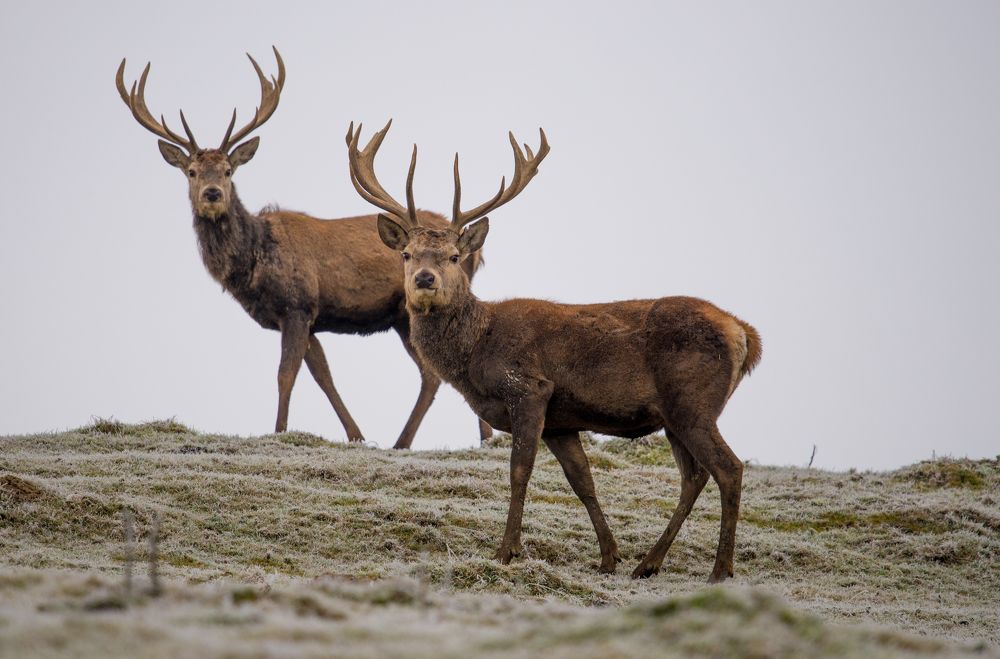 Фотография автора Iulian Vieru
