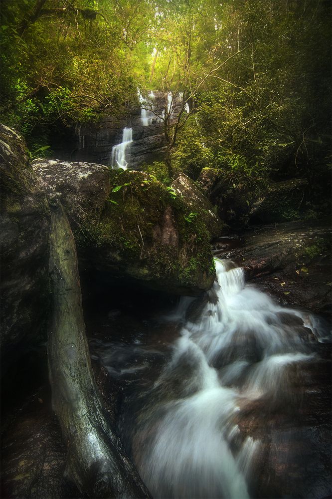Rain-forest Waterfall