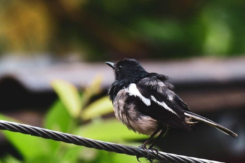 Photograph by Ambadi Vishnu