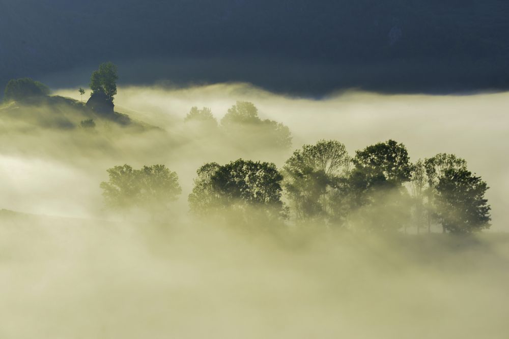 Фотография автора Iulian Vieru