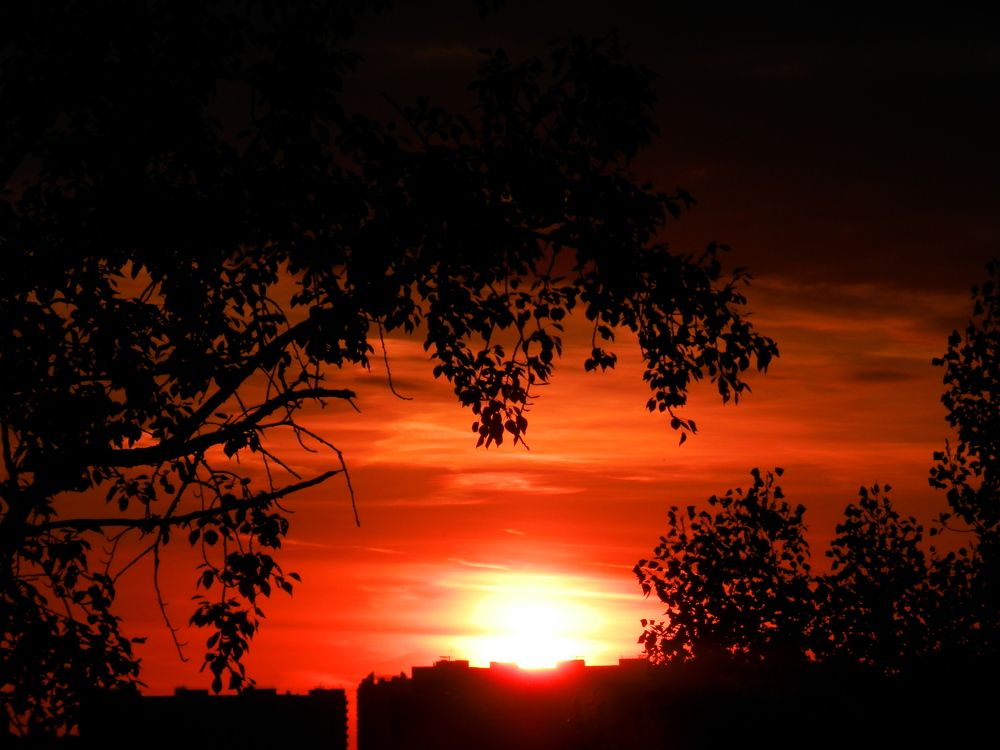 Photograph by Наталия Калюкина