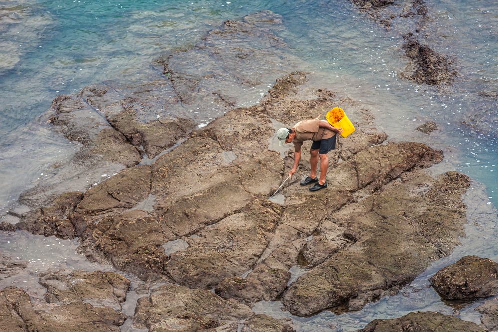 Photograph by Marco Vinicio Garzón Maya