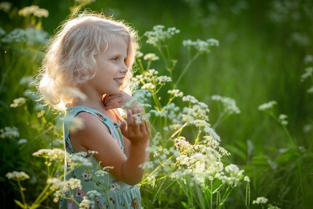 Летний вечер