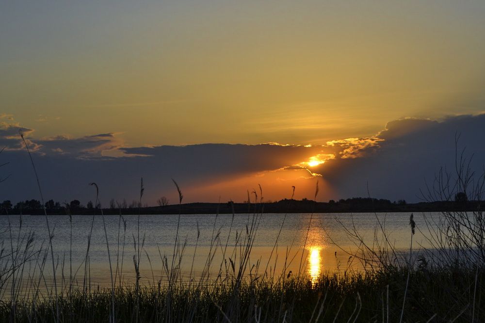 Photograph by Наталья Перерва