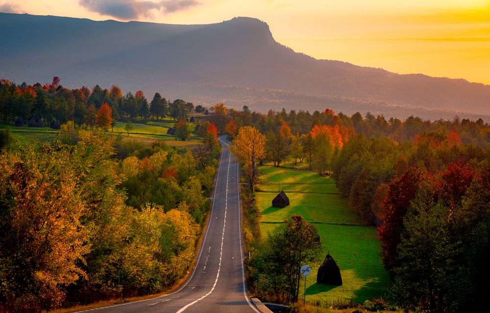 Photograph by Neacșu Marius