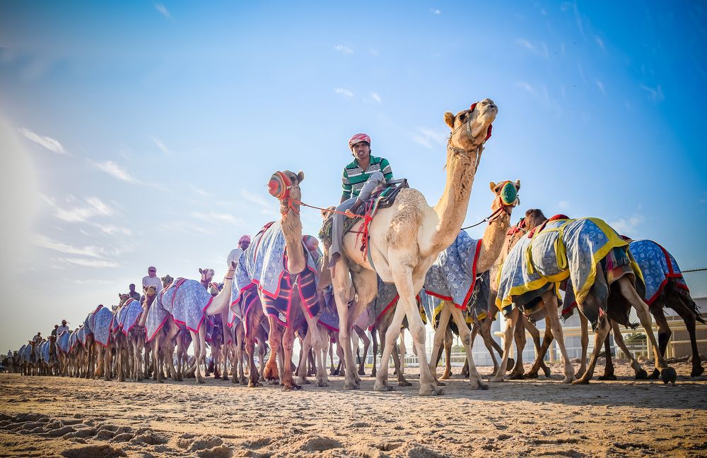 Фотография автора Rishad