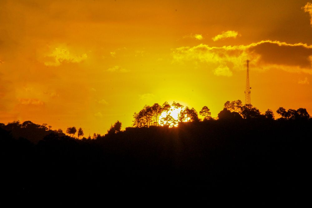 Photograph by Luis Par