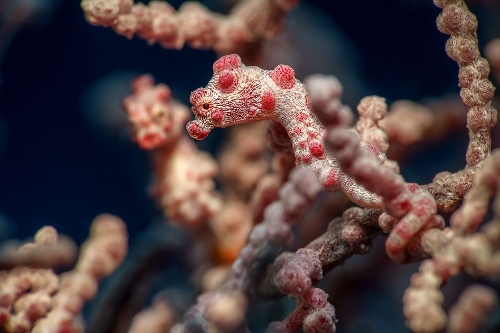 Photograph by Андрей Савин