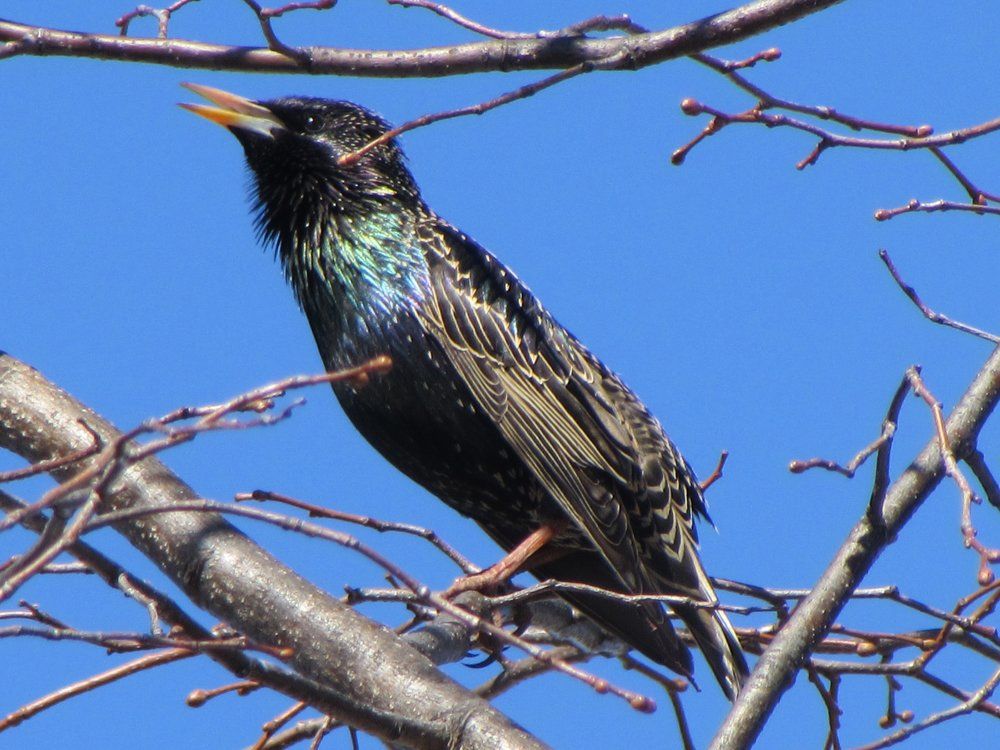 Photograph by Екатерина Лобанова