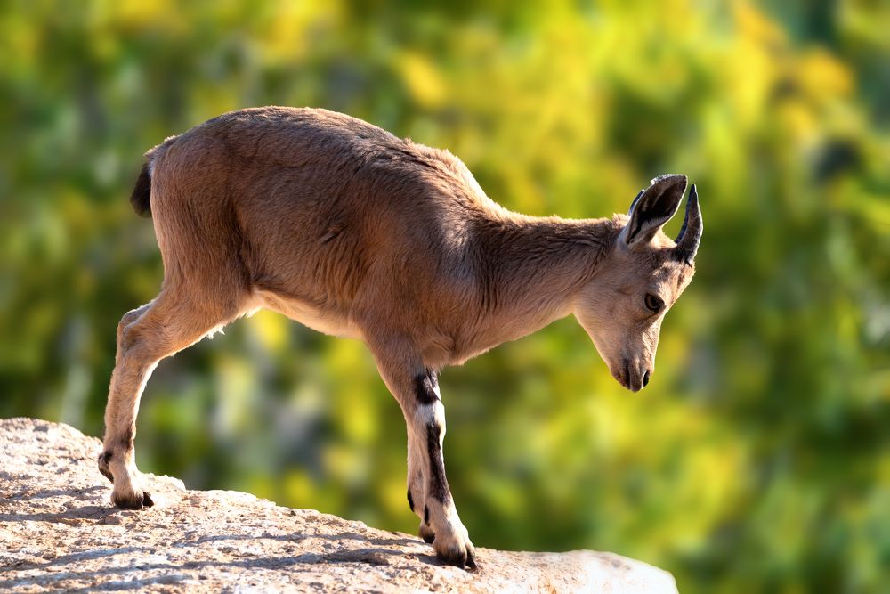 Photograph by Лея Лерер