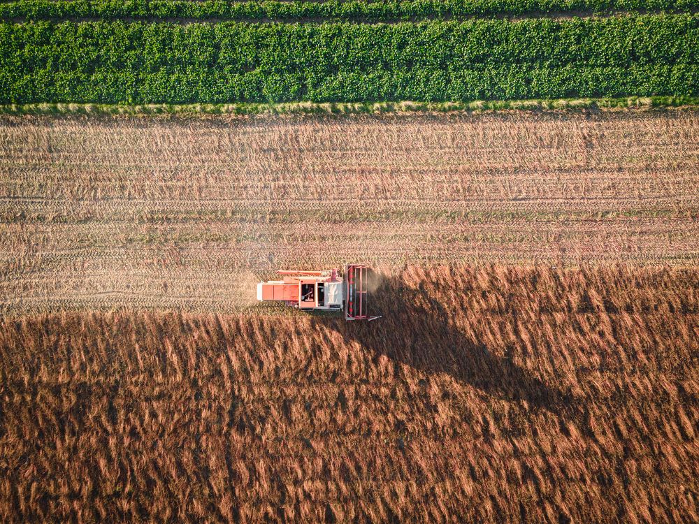 Photograph by Damian Kozik