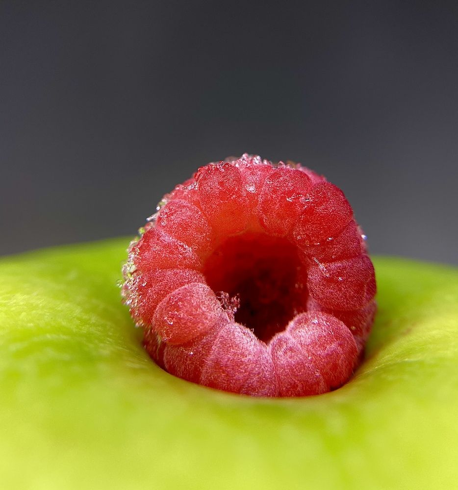 Яркая жизнь