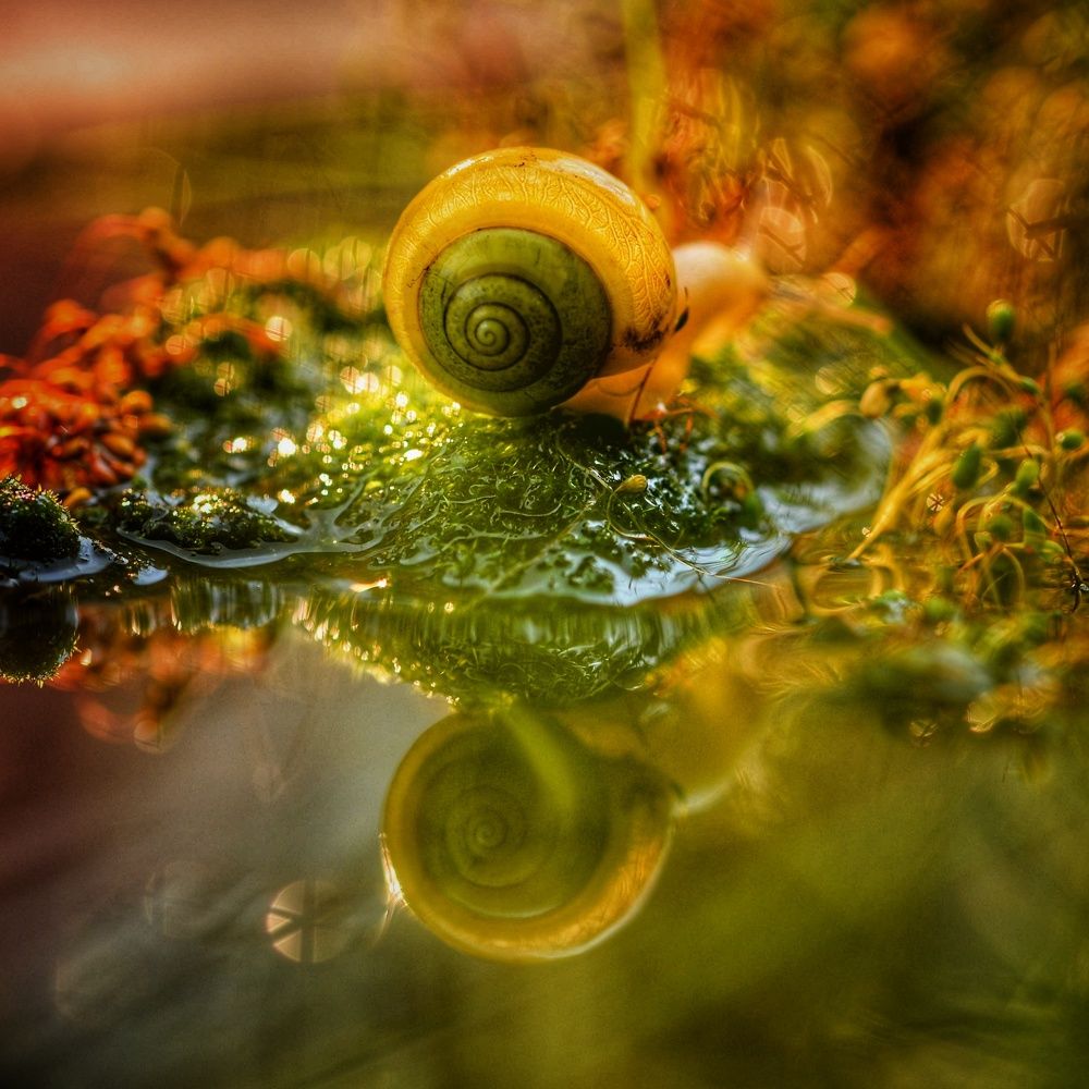 Photograph by Михаил Логвиненко