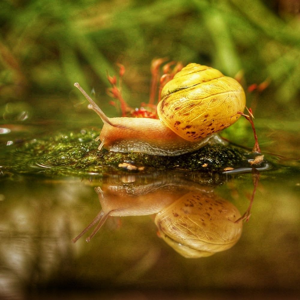 Photograph by Михаил Логвиненко