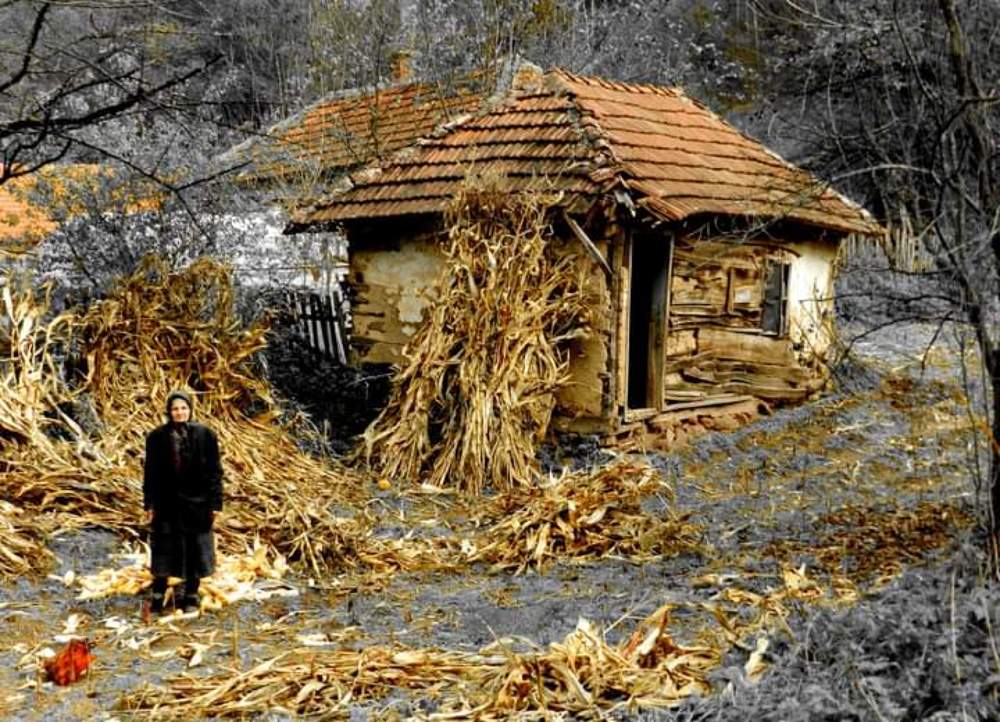 Photograph by Sinisa Ljubisavljevic