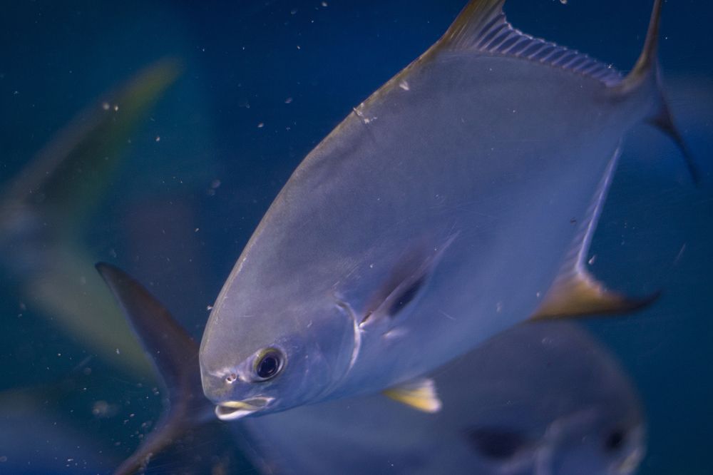 Photograph by Hany El Ela