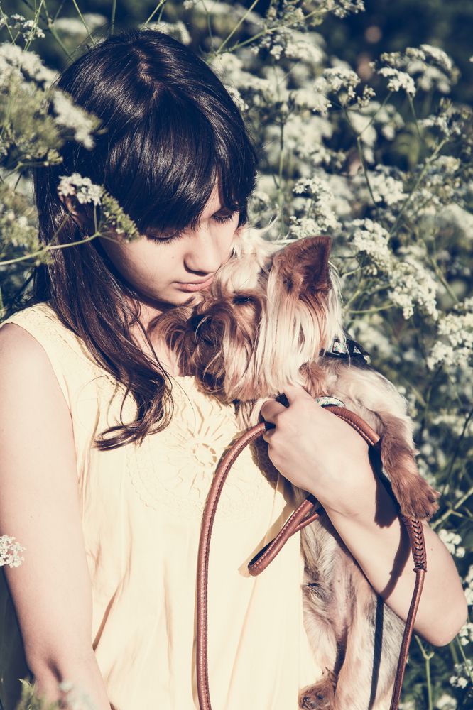 Фотография автора Дмитрий Войнов