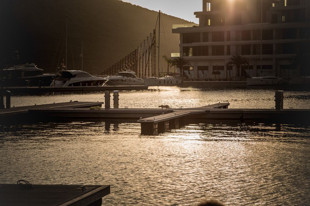 Photograph by Veronika Trubnikova