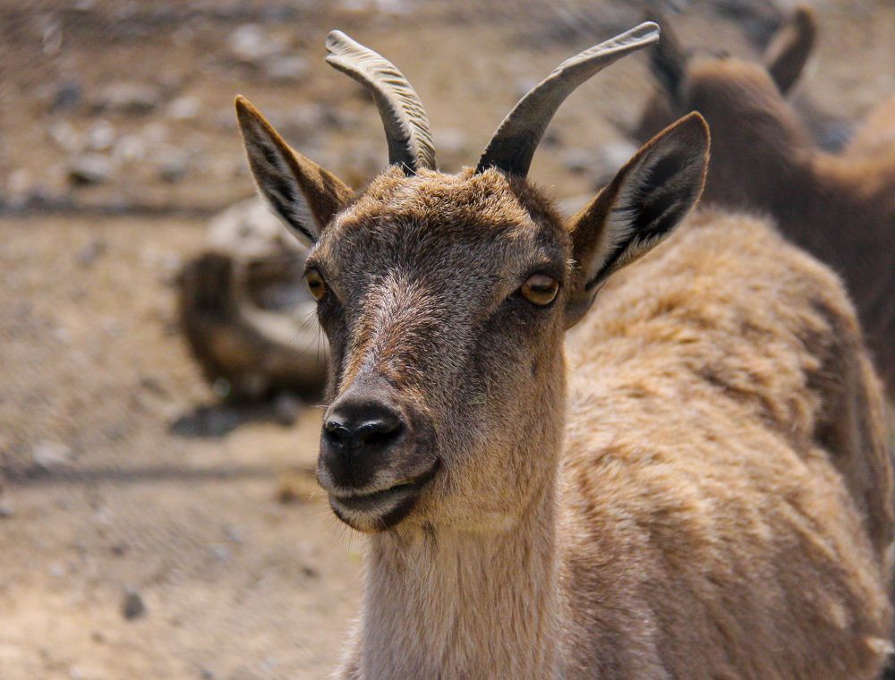 Photograph by Лариса Фомина