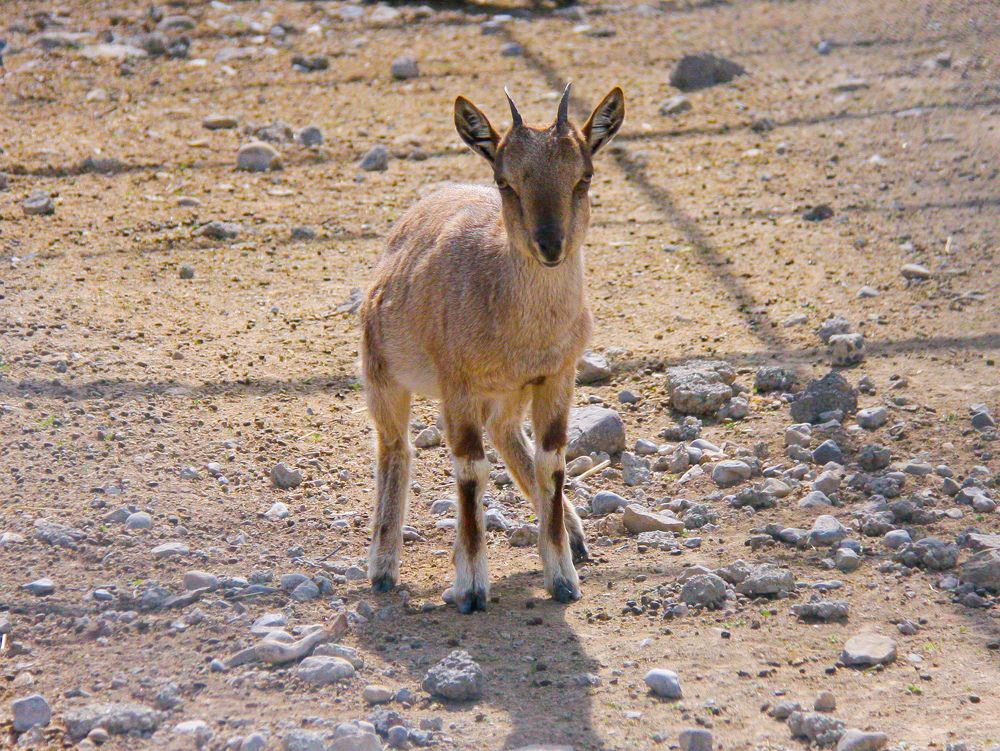 Photograph by Лариса Фомина