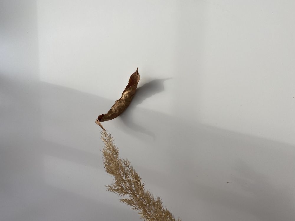 Photograph by Anna Fakhrutdinova