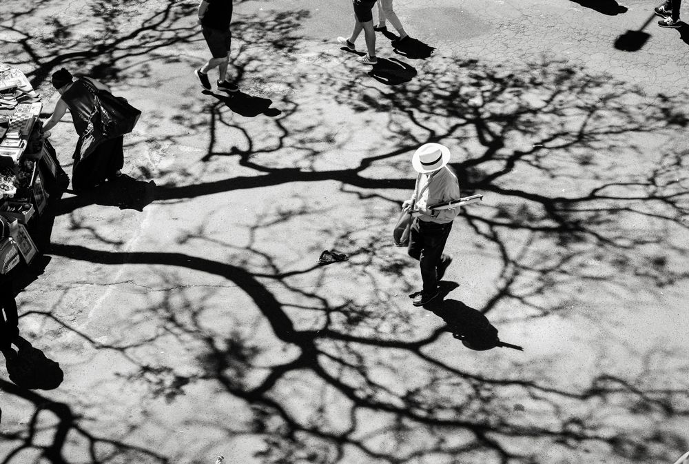 Photograph by Carlos Costa