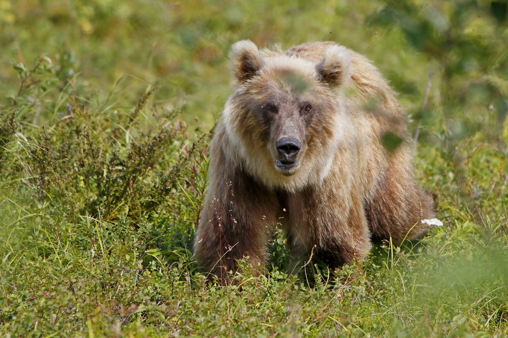 Photograph by Наталья Турчик