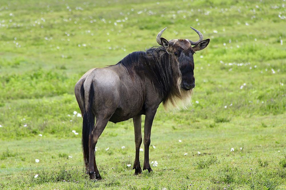 Photograph by Олег Банковский