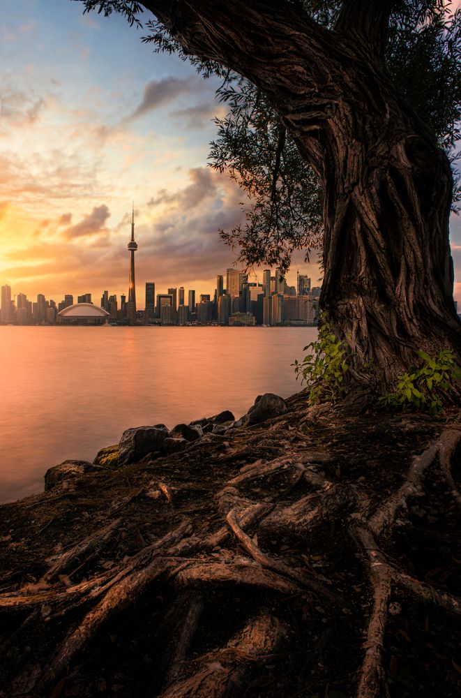 Photograph by Sayantan Basu