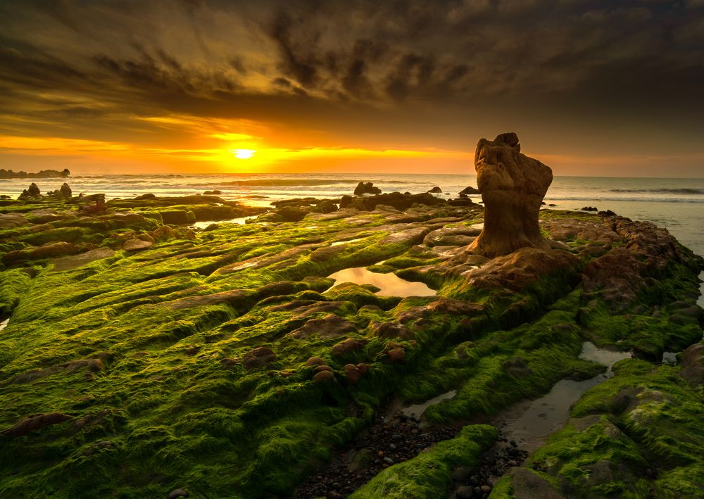 Photograph by Dinh Van Thinh