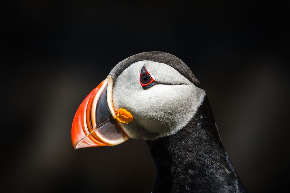 Photograph by Agnieszka Wieczorek