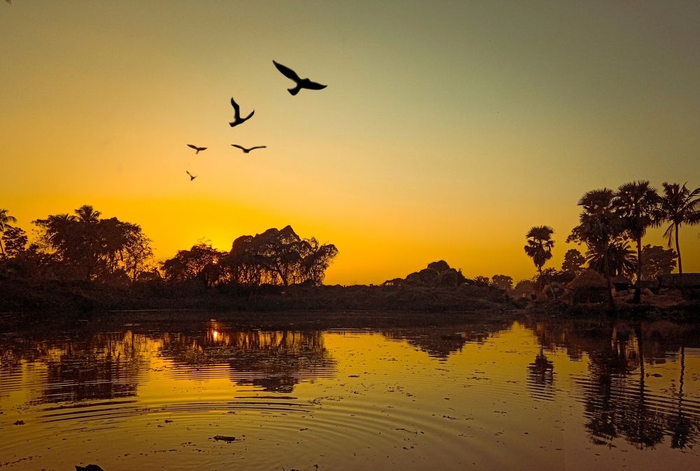 Sunset Time