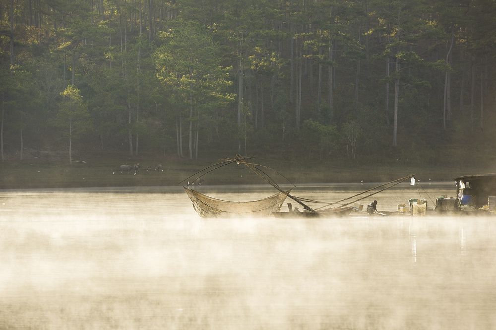 Photograph by Ba Nguyen