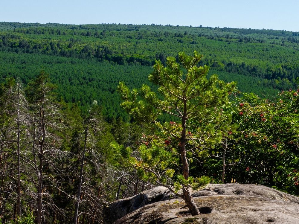 Photograph by mikhail goryachev