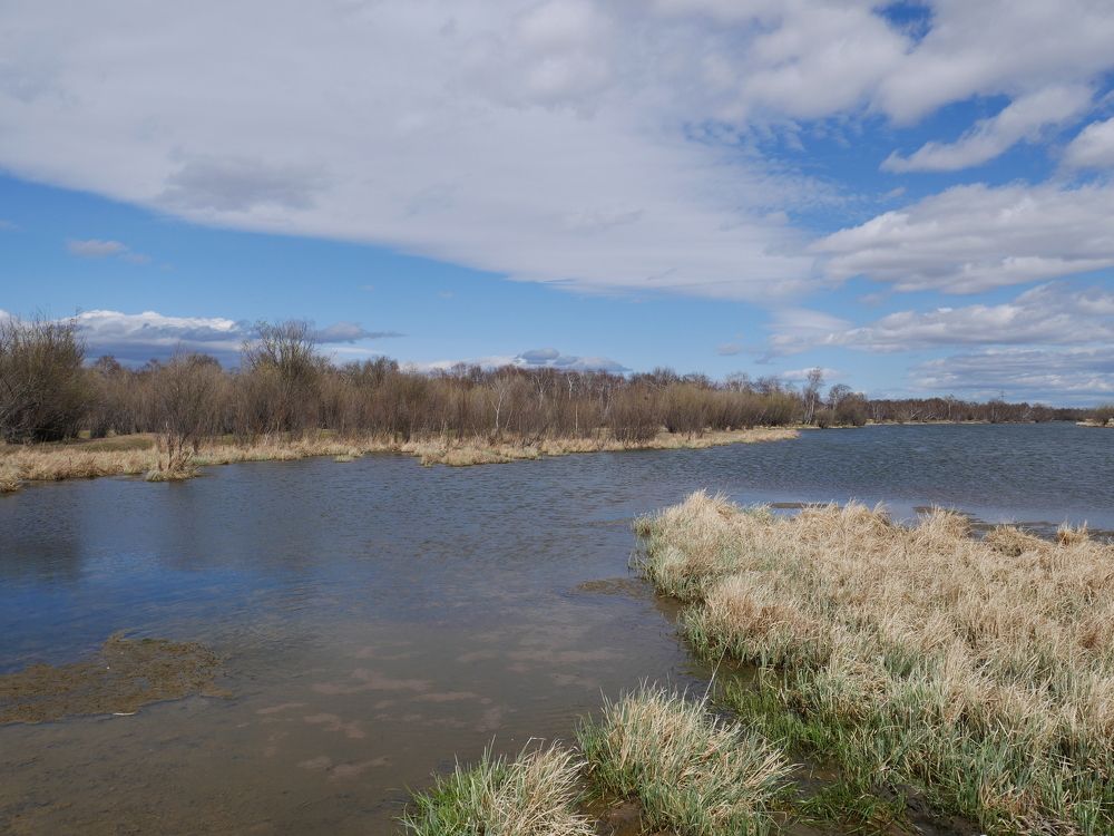 Photograph by Алеся Дей