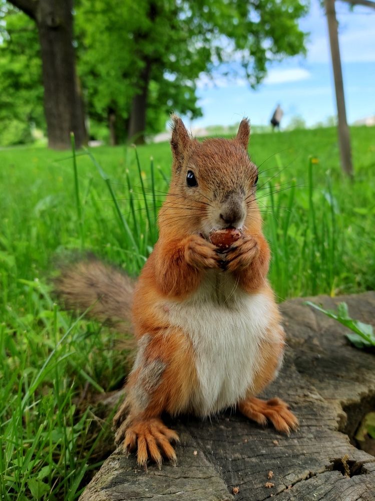Фотография автора Таисия