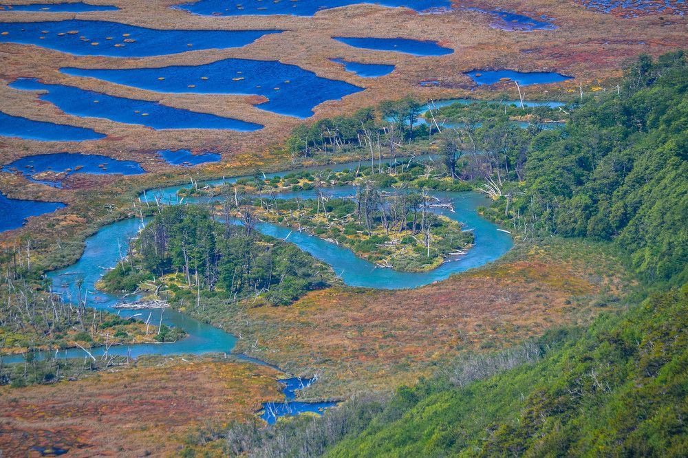 Фотография автора Raul Torres
