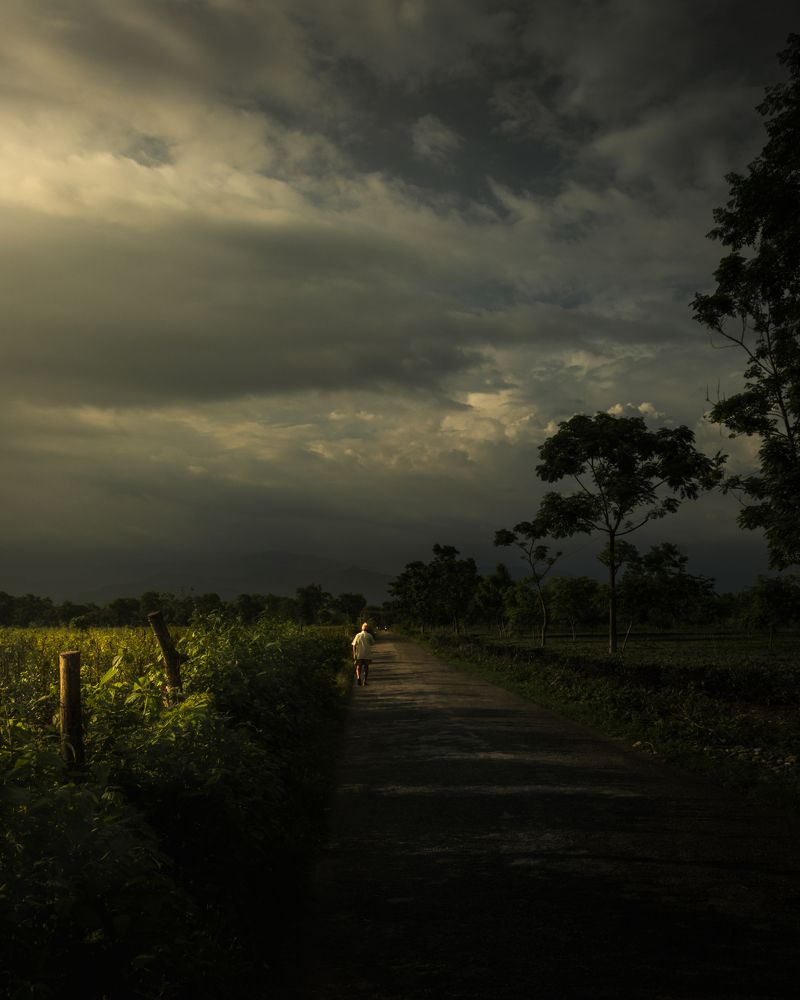 Photograph by SUBHOJIT KARMAKAR