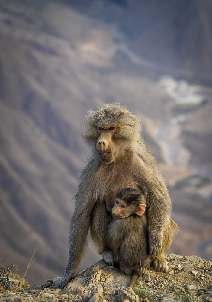 Photograph by Siby Joseph