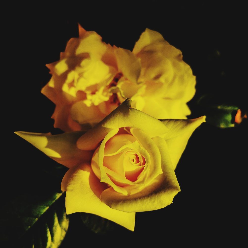 Photograph by Nikolett Mengyi