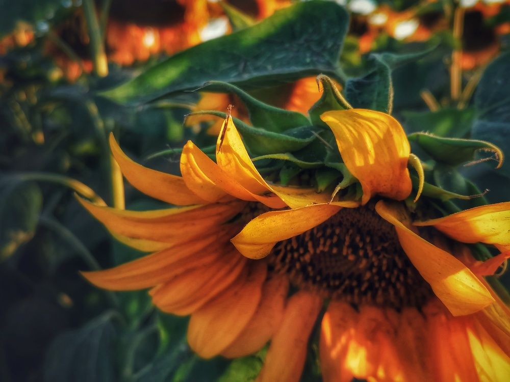 Photograph by Ralica Kitova