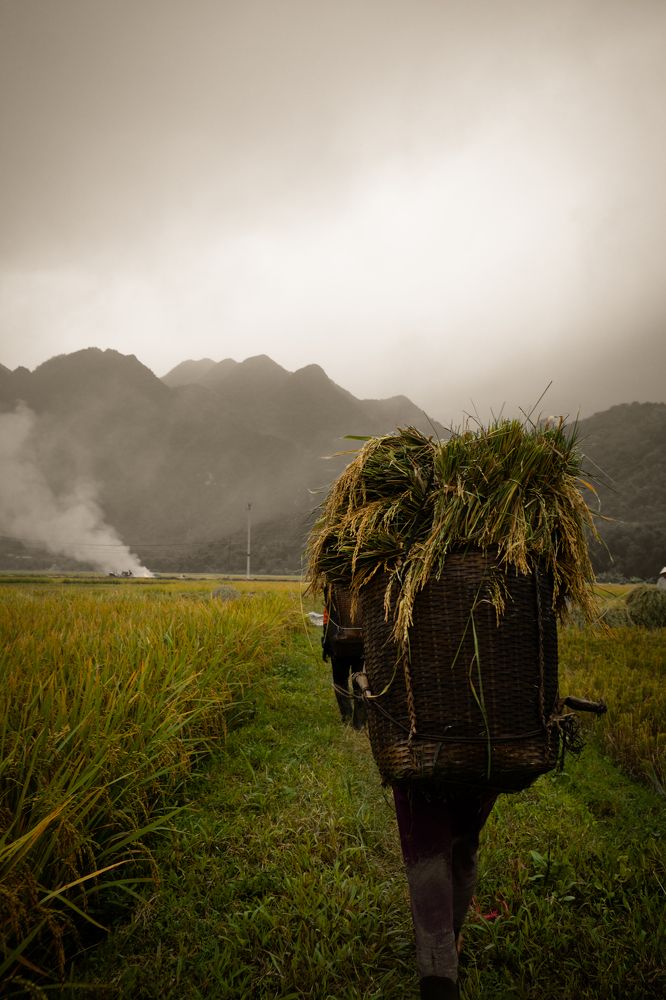 Photograph by Tung Khanh