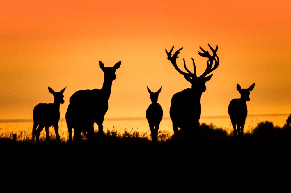 Photograph by Michael Thorn