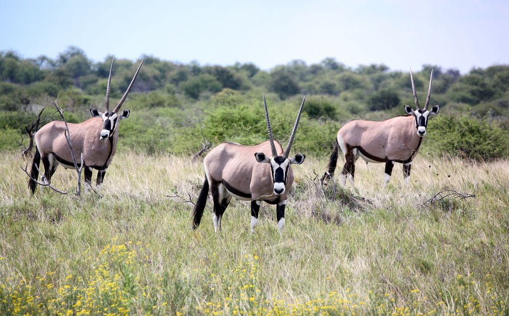 Фотография автора Илья