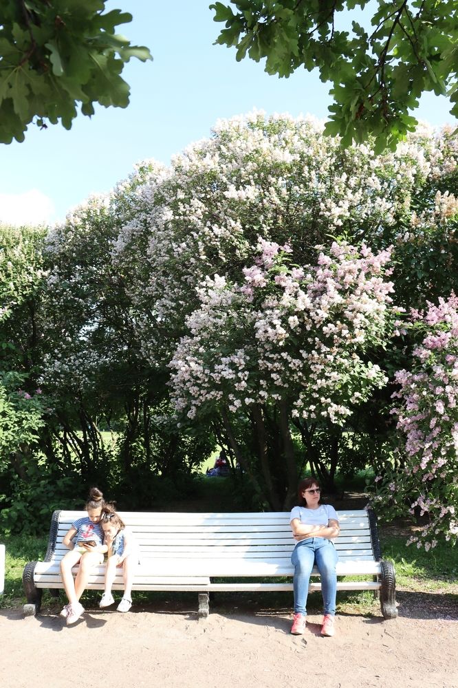 Photograph by Виктор Полуэктов