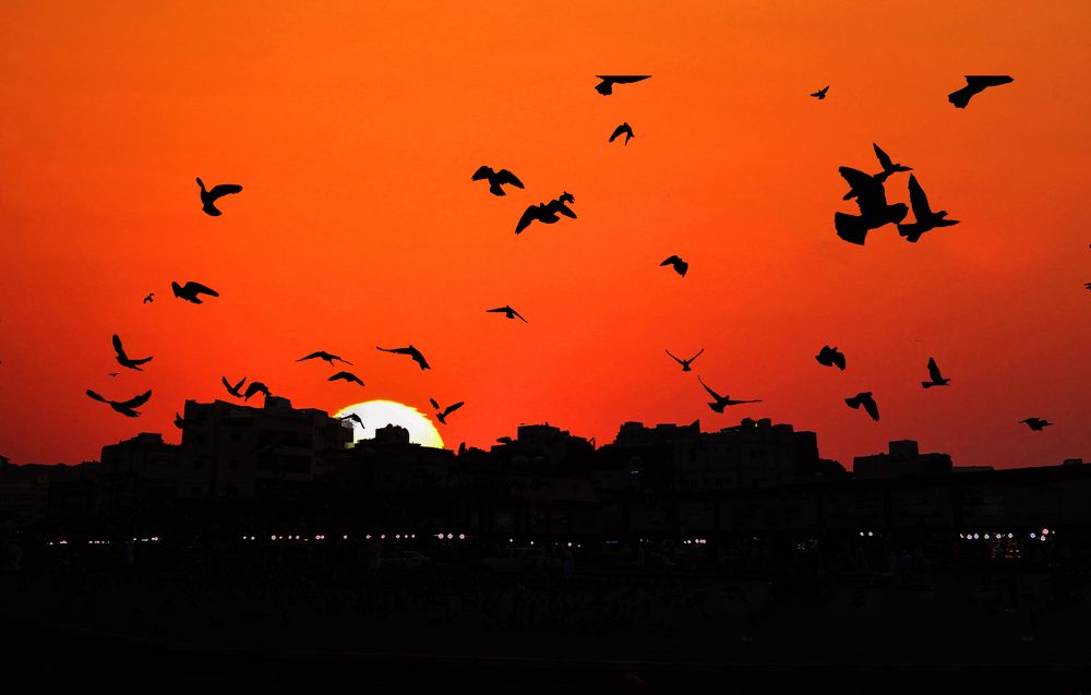 Photograph by Esmaeil Razaghi