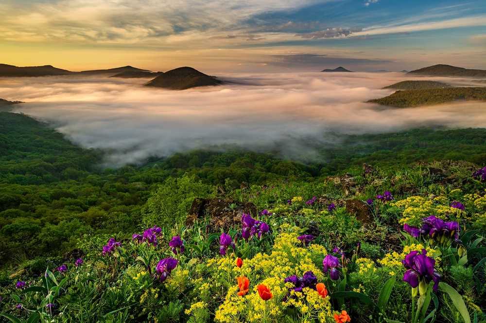 Photograph by Jana Zeithammerova