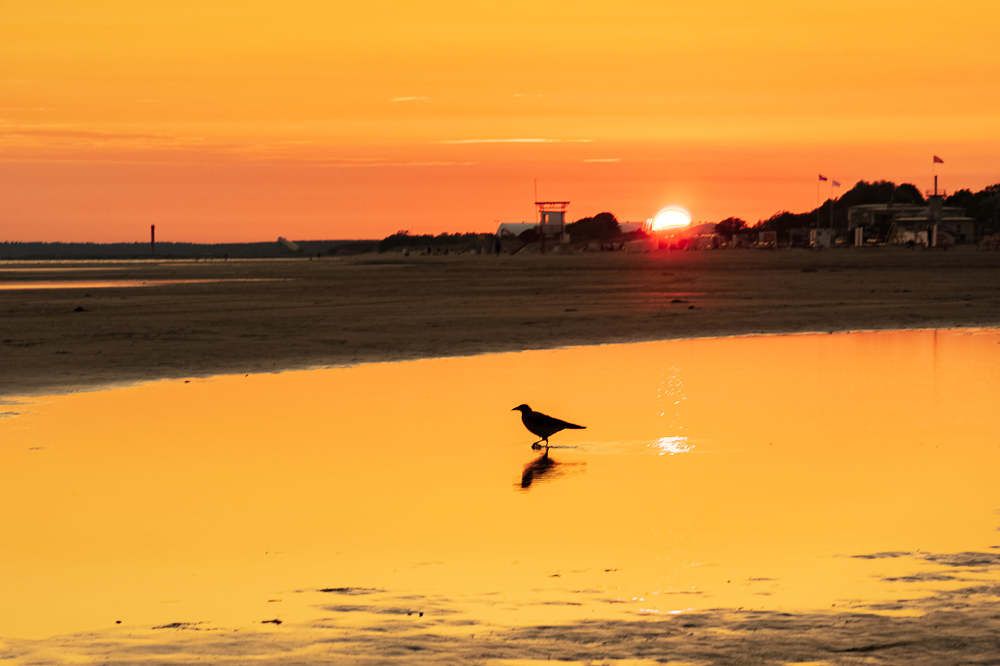 Photograph by Silja Tamme