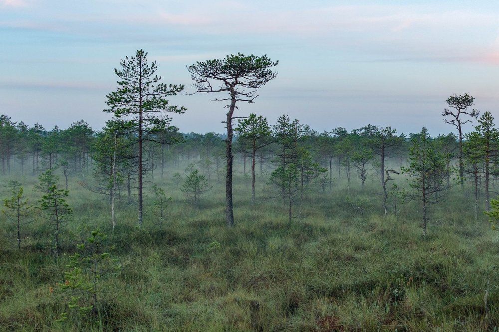 Photograph by Silja Tamme