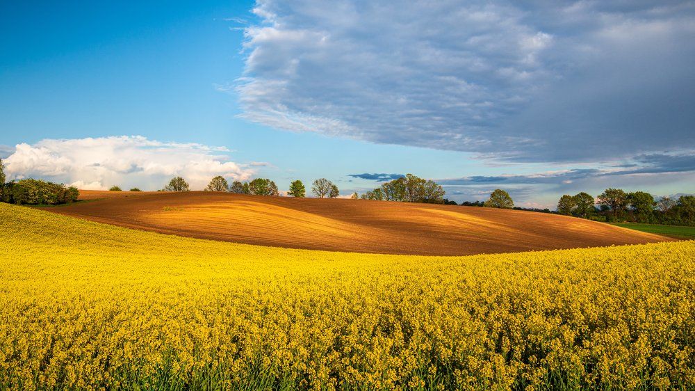 Photograph by Paweł Bykowski